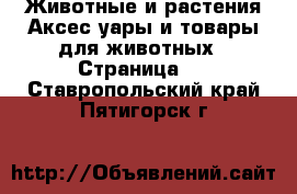 Животные и растения Аксесcуары и товары для животных - Страница 2 . Ставропольский край,Пятигорск г.